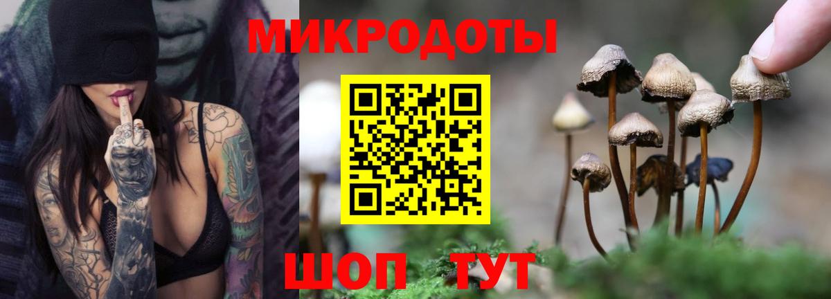 Карталы  Псилоцибиновые грибы прущие грибы  Вход с VPN 